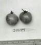 Click for 1 image(s) for this accession. FRUIT